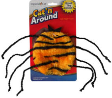 01279_spider_hcT